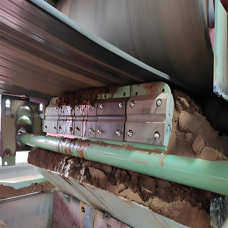 secondary belt cleaner application secondary belt cleaner application